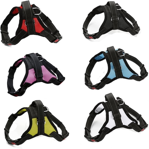 Dog Harness