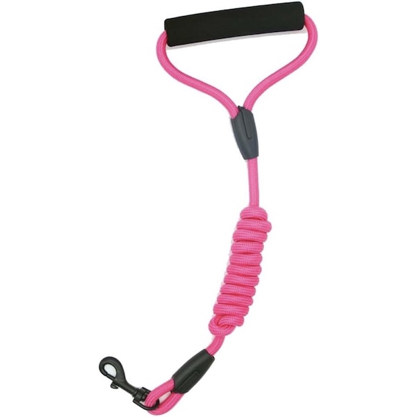 Leash - Pink