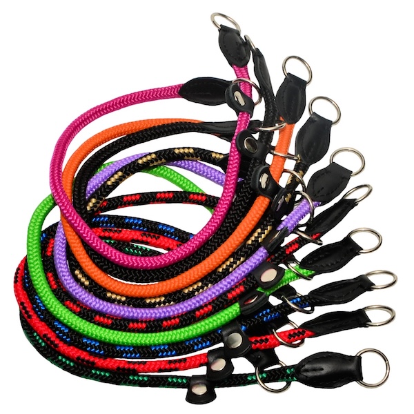 Leash - Colourful