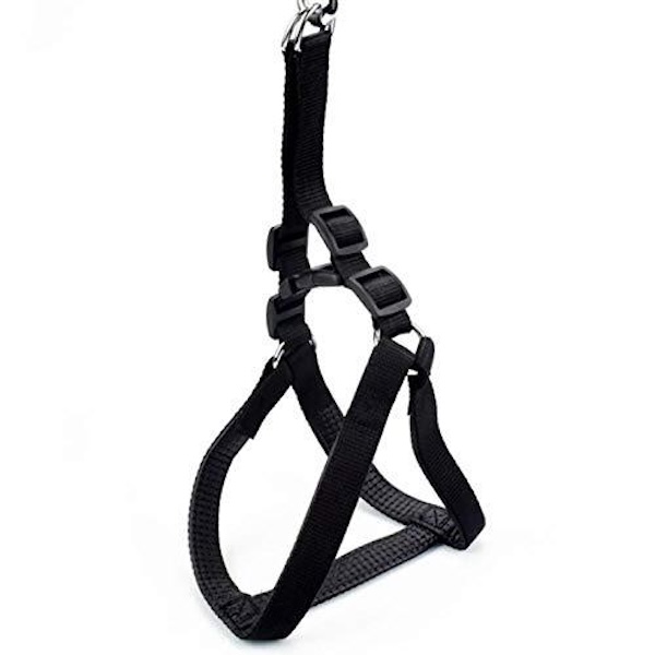 Dog Harness with Leash