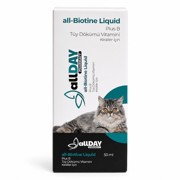 allDAY - all Biotin Liquid (50 ml)
