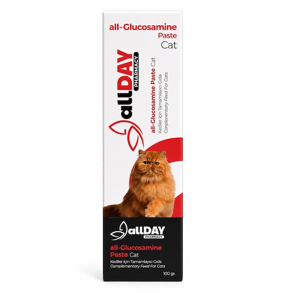 allDAY - all Glucosamine Paste Cat (100 g)